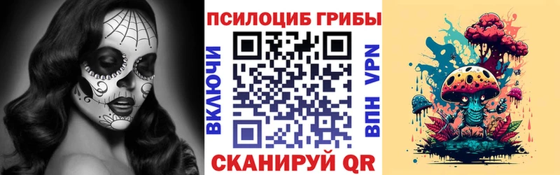 Псилоцибиновые грибы Psilocybe Тольятти