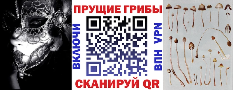 Псилоцибиновые грибы Psilocybine cubensis  hydra маркетплейс  Тольятти 