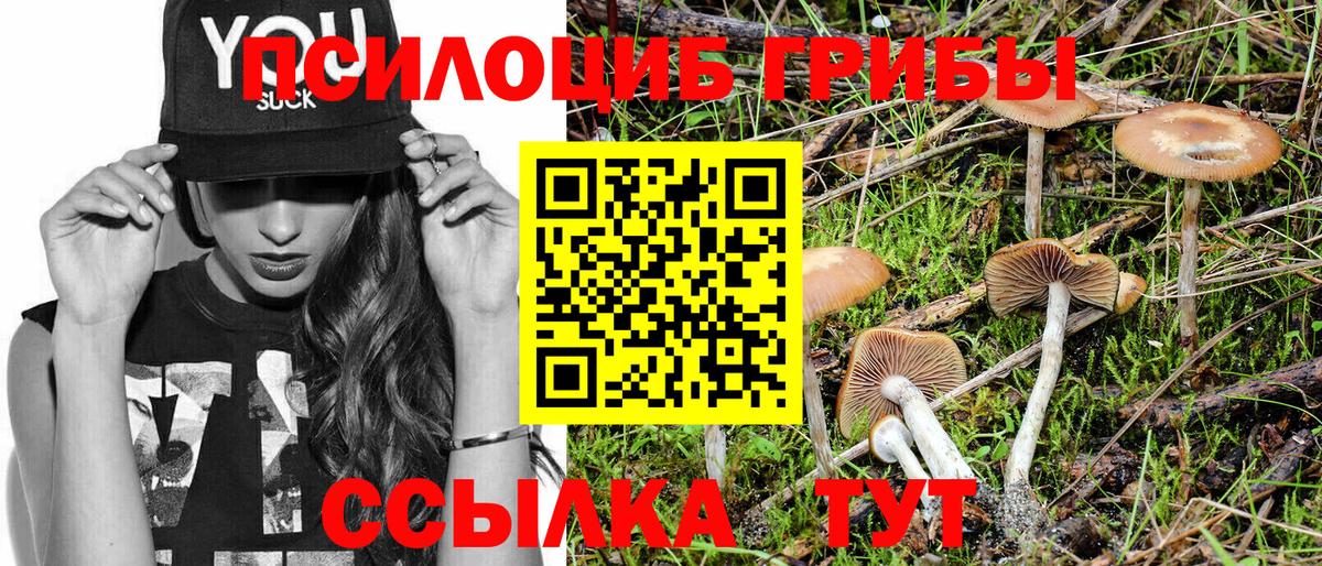 Галлюциногенные грибы Cubensis  Псилоцибиновые грибы Magic Shrooms  Тольятти  Вход с VPN 