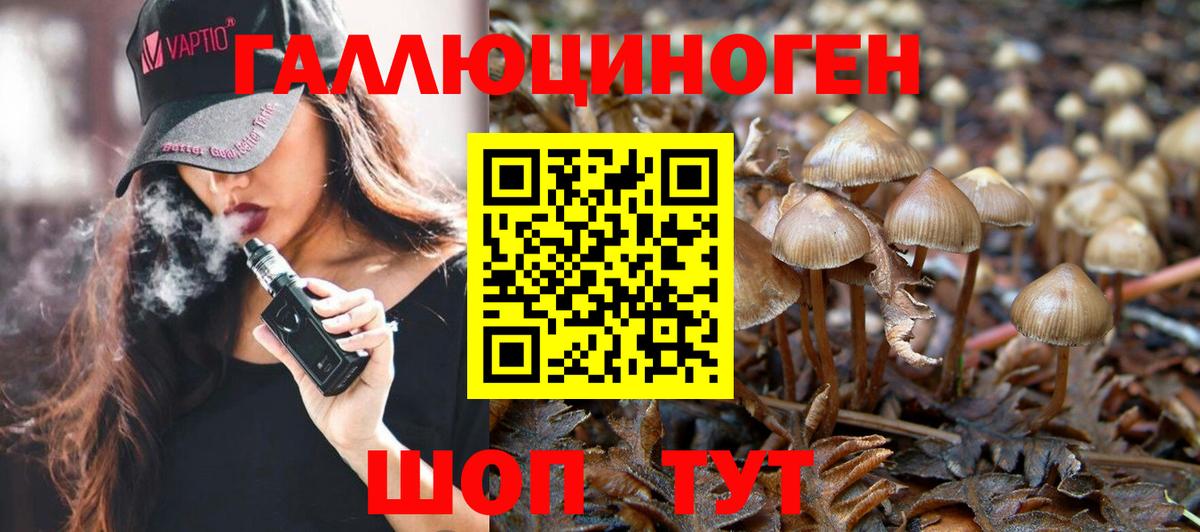Галлюциногенные грибы мухоморы Тольятти